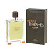 Hermès Terre D'Hermès Eau Intense Vétiver EDP 200 ml M